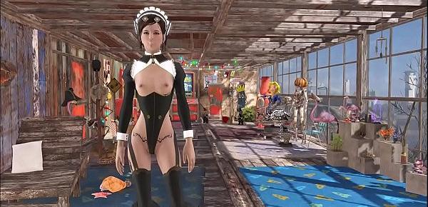  Fallout 4 Sexy and Funny Fashion